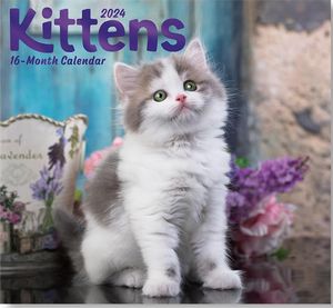 Kittens 2024 Calendar