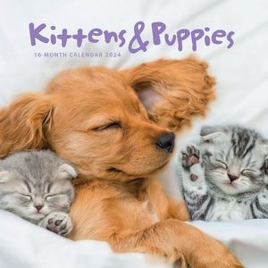 Kittens & Puppies 2024 Calendar