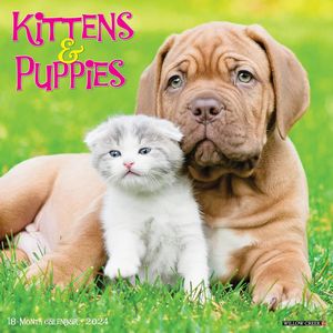 Kittens & Puppies 2024 Calendar