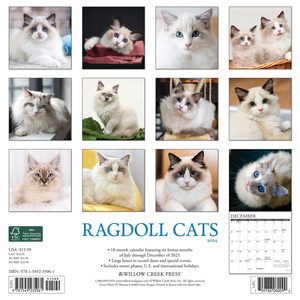 Ragdoll Cats 2024 Calendar