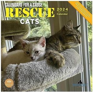 Rescue Cats 2024 Calendar