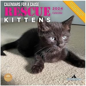 Rescue Kittens 2024 Calendar
