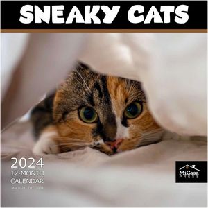 Sneaky Cats 2024 Calendar