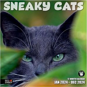 Sneaky Cats 2024 Calendar