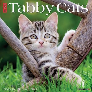 Tabby Cats 2024 Calendar