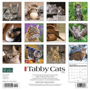 Tabby Cats 2024 Calendar