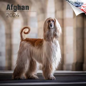 Afghan 2024 Calendar