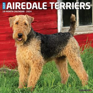 Airedale Terriers 2024 Calendar