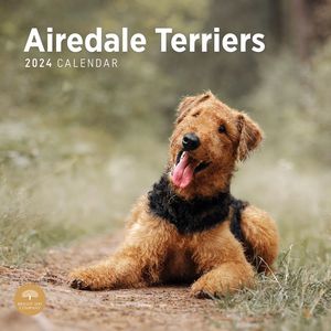 Airedale Terriers 2024 Calendar
