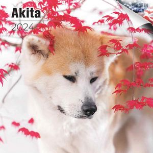 Akita 2024 Calendar