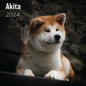 Akita 2024 Calendar