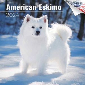 American Eskimo 2024 Calendar