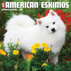 Just American Eskimos Calendar