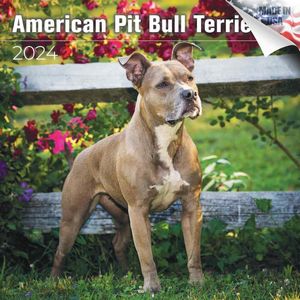 American Pit Bull Terrier 2024 Calendar