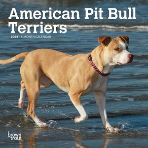 American Pit Bull Terriers 2024 Calendar