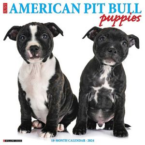 American Pit Bull Terrier Puppies 2024 Calendar