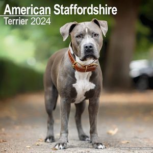 American Staffordshire Terrier 2024 Calendar