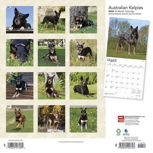 Australian Kelpies 2024 Calendar