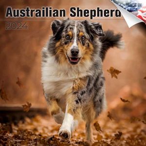 Australian Shepherd 2024 Calendar