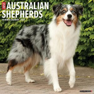 Australian Shepherds 2024 Calendar