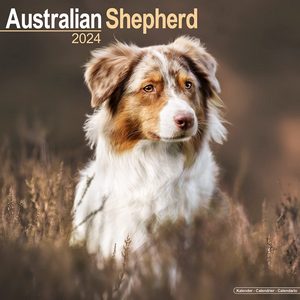 Australian Shepherd 2024 Calendar