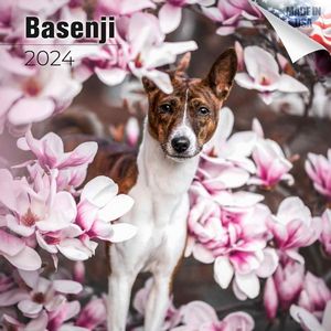 Basenji 2024 Calendar