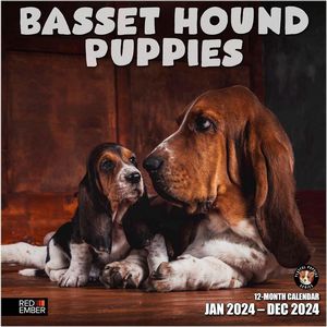 Basset Hound Puppies 2024 Calendar