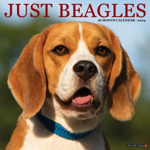 Just Beagles 2024 Calendar