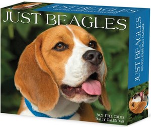 Beagles 2024 Desk Calendar