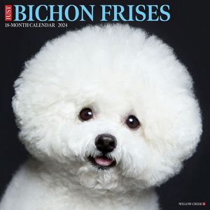 Bichon Frises 2024 Calendar