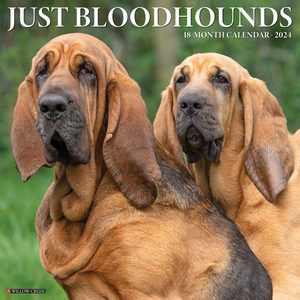 Bloodhounds 2024 Calendar