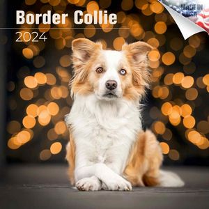 Border Collie 2024 Calendar