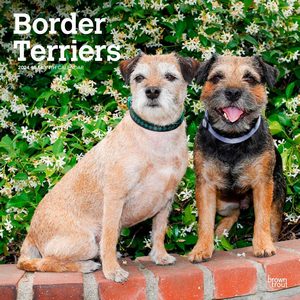 Border Terriers 2024 Calendar