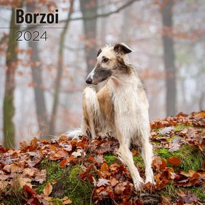 Borzoi 2024 Wall Calendar