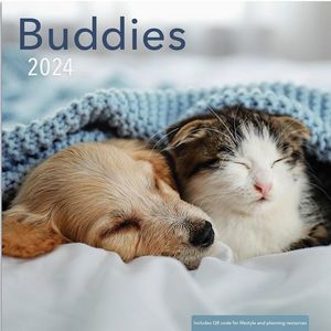 Buddies 2024 Calendar