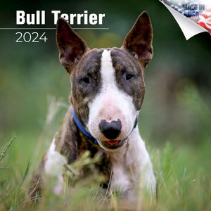 Bull Terrier 2024 Calendar