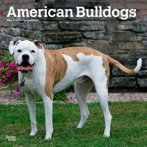 American Bulldogs 2024 Calendar