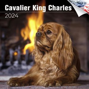 Cavalier King Charles 2024 Calendar