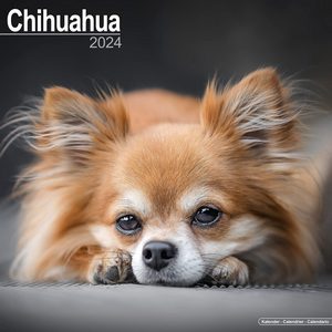 Chihuahua 2024 Calendar