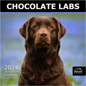 Chocolate Labs 2024 Calendar