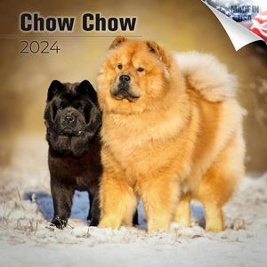 Chow Chow 2024 Calendar