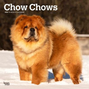 Chow Chows 2024 Calendar
