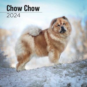 Chow Chow 2024 Calendar