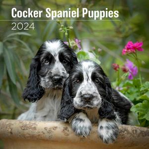 Cocker Spaniel Puppies 2024 Calendar