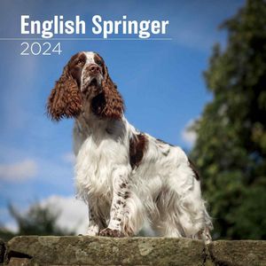 English Springer 2024 Calendar