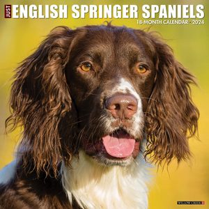 English Springer Spaniels 2024 Calendar