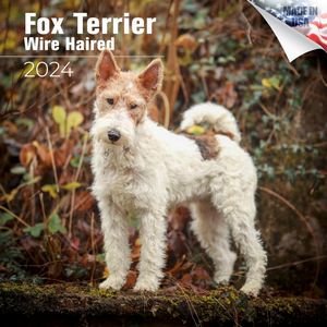 Wire Haired Fox Terrier 2024 Calendar
