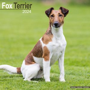 Fox Terrier 2024 Calendar