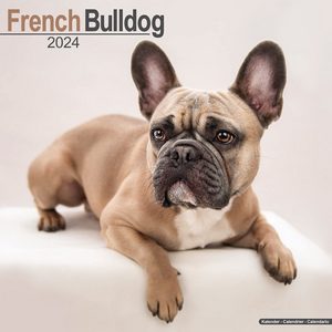 French Bulldog 2024 Calendar