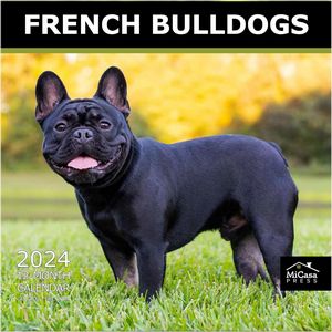 French Bulldogs 2024 Calendar